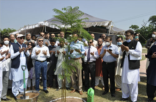 COMSATS university holds plantation campaign - Pakistan Observer