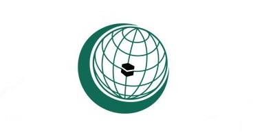 OIC urged to make diplomatic and legal efforts for Kashmir settlement
