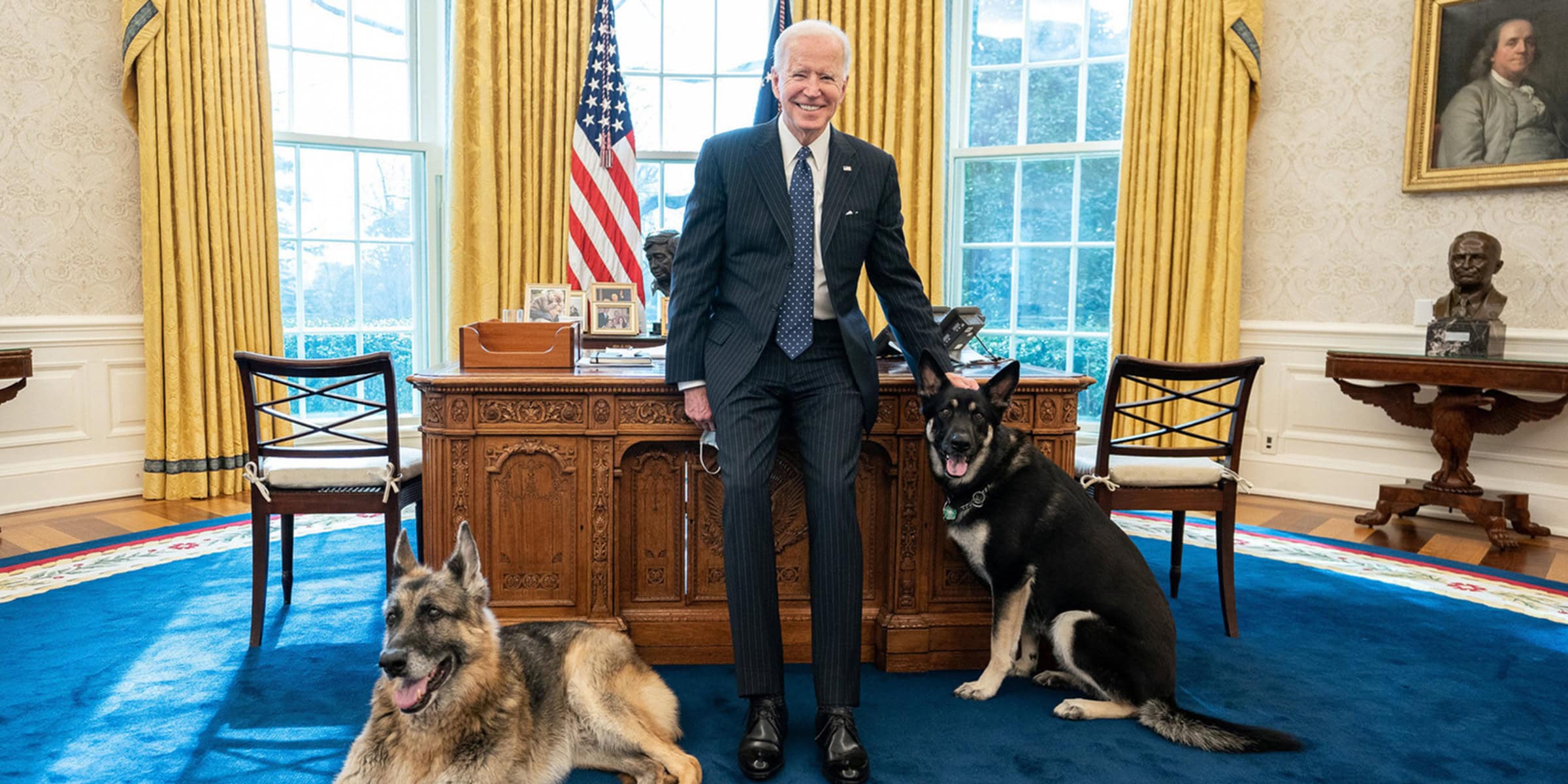 Bidens German Shepherds Ousted From White House After One Bites Security Official Pakistan 4905