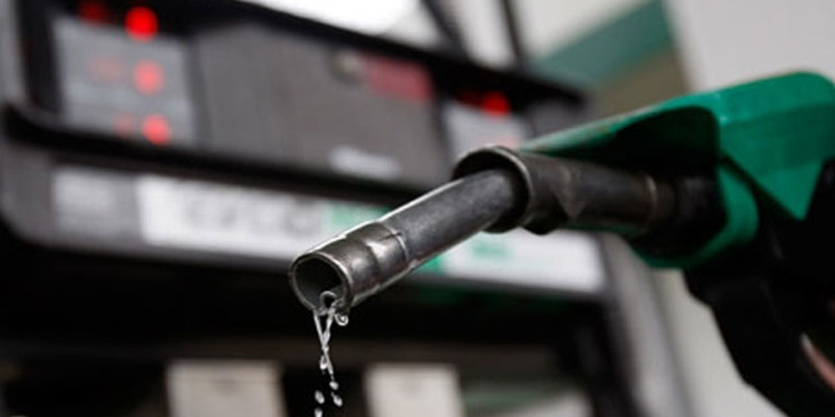 Govt cuts petroleum prices