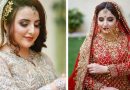 Hareem Shah ties knot!