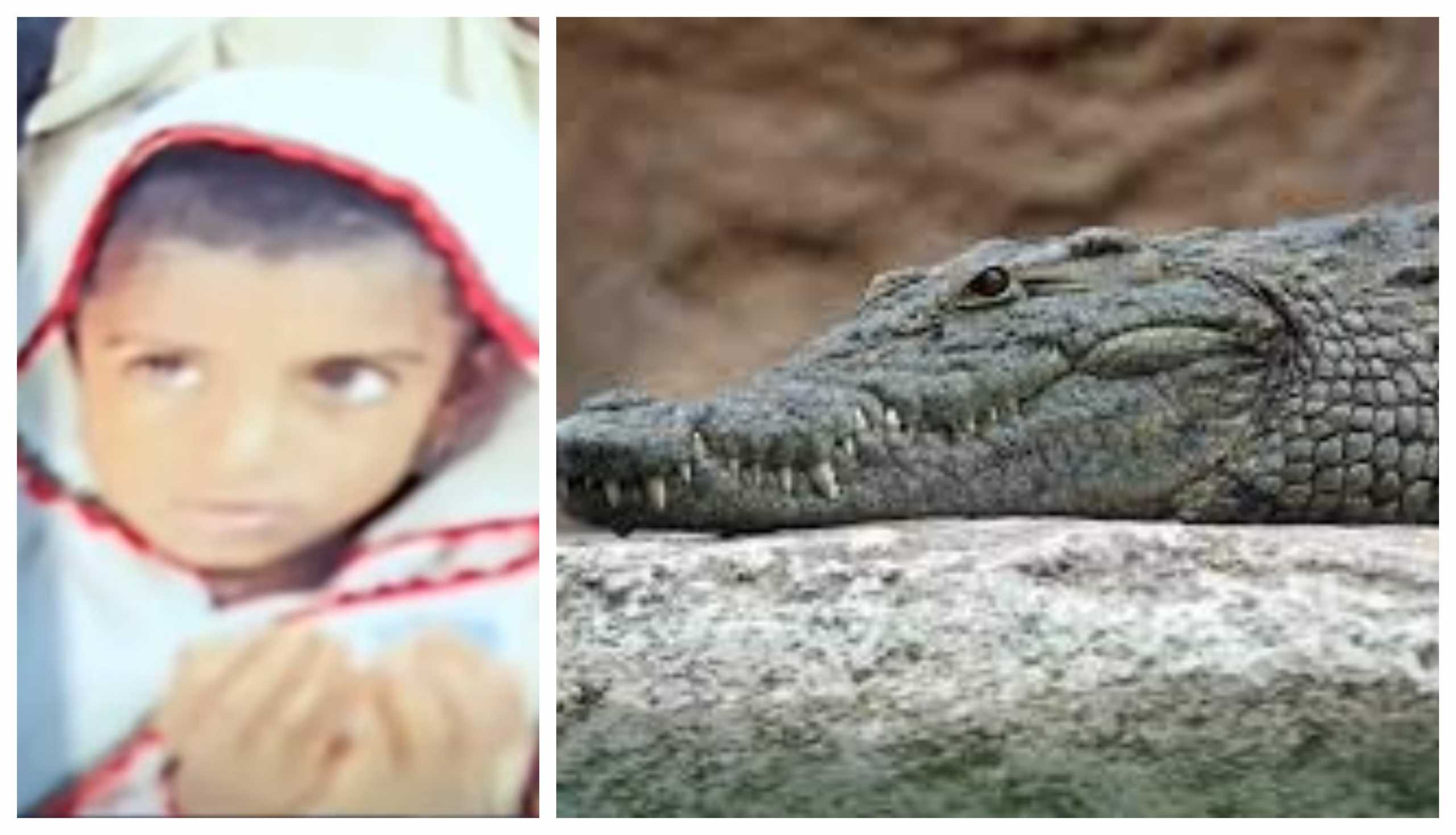 4yearold girl eaten alive by crocodile in front of mother in Sindh