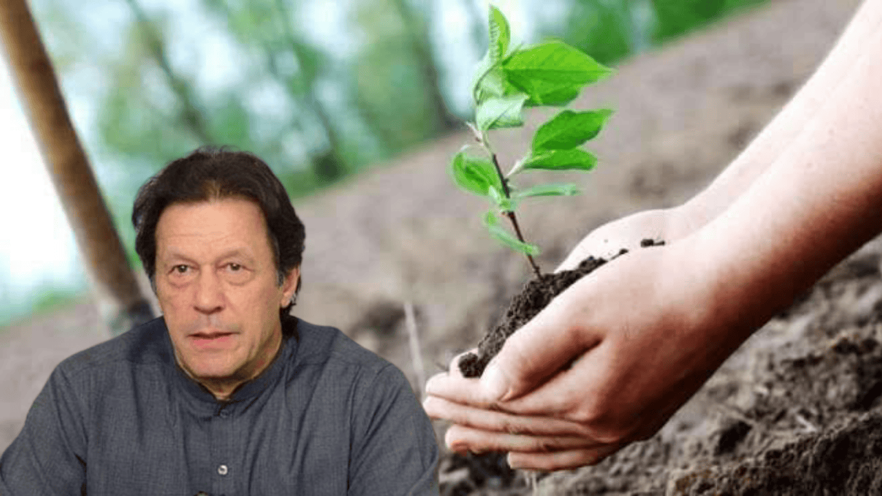 PM Imran’s Green Initiative receives global recognition - Pakistan Observer