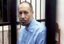 Saadi Gaddafi, son of Muammar Gaddafi freed from jail