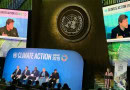 Khan proud of his team as Pakistan receives UNEP appreciation for Pakistan's efforts for ecosystem restoration