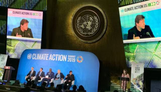 Khan proud of his team as Pakistan receives UNEP appreciation for Pakistan's efforts for ecosystem restoration