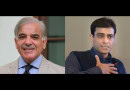 PM Shehbaz welcomes CM Hamza's free electricity package to poor households