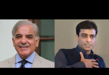 PM Shehbaz welcomes CM Hamza's free electricity package to poor households