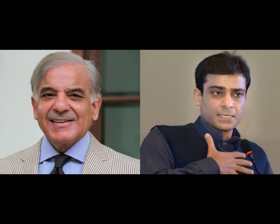 PM Shehbaz welcomes CM Hamza's free electricity package to poor households