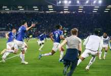 Everton survive Premier League relegation battle