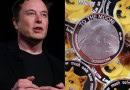 Elon Musk Dogecoin