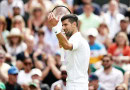 Novak Djokovic has beaten Jannik Sinner to reached Wimbledon semi-finals