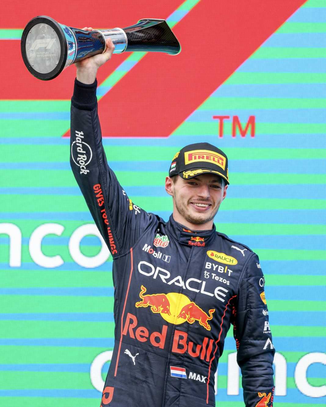 Max Verstappen wins the Hungarian GP