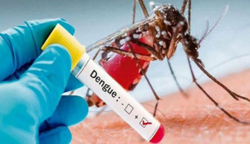 Anti-dengue measures stepped up