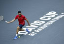 Spain, Italy, USA, Germany register Davis Cup wins