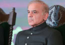 Shehbaz IMF