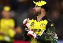 Matthew Wade becomes the latest player contract Covid