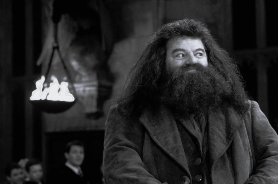 Hagrid Harry Potter