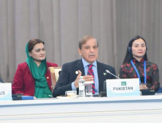 Shehbaz