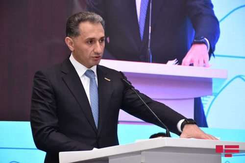 Azerbaijan, Georgia have successful investment coop: Minister