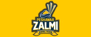 Peshawar Zalmi logo for PSL 8