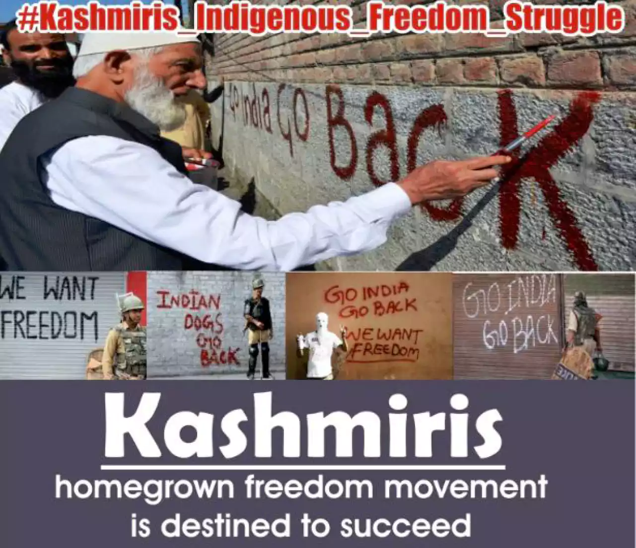 ‘Kashmir Freedom Struggle Reflects Sentiments Of IIOJK People ...