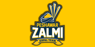 Javed Afridi owns Zalmi, the team Babar Azam captains in PSL