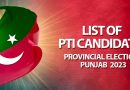 PTI candidates