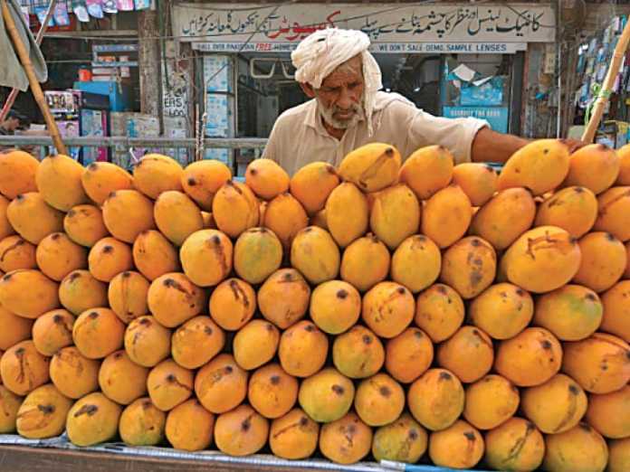 mango exporters