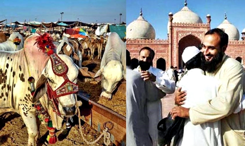 Eid Ul Adha 2023 In Pakistan Date Clayton Love Trending
