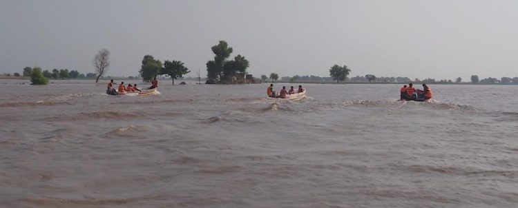 Devastation in Kasur as River Sutlej attains unprecedented high flood ...