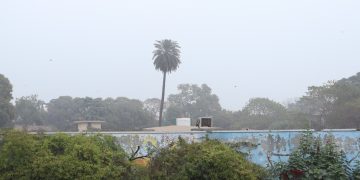 Cold wave, dense fog persist in Lahore, parts of Pakistan