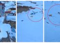 Watch: Multiple hotels in Naran buried under avalanche