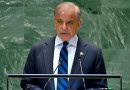 Live Pakistans Pm Shehbaz Highlights Palestine Kashmirs Challenges At Unga