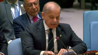 Pm Shehbaz Calls For Sanctions On Israel Over Gaza Genocide