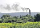 The Unseen Costs Of Air Pollution In Rural Life Agriculture