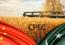 Cpec Phase Ii Begins With New Agreements B W Pakistan China