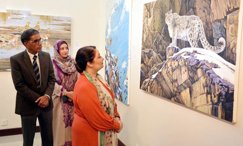 Romina Highlights Visual Arts Role In Wildlife Protection