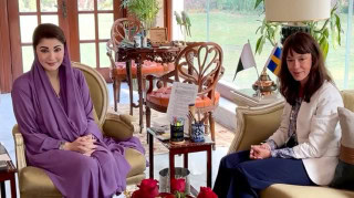 Swedish Envoy Alexandra Berg Von Linde Calls On Punjab Cm Maryam