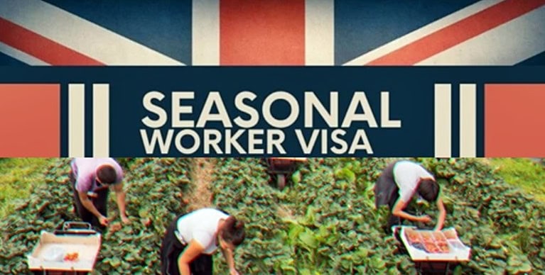 Uk Seasonal Worker Visa With 43000 Positions Available Check Eligibility