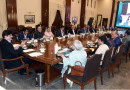 Sindh Taskforce