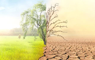A Number Of Mous Signed To Enhance Denmark Pakistan Green Partnerships