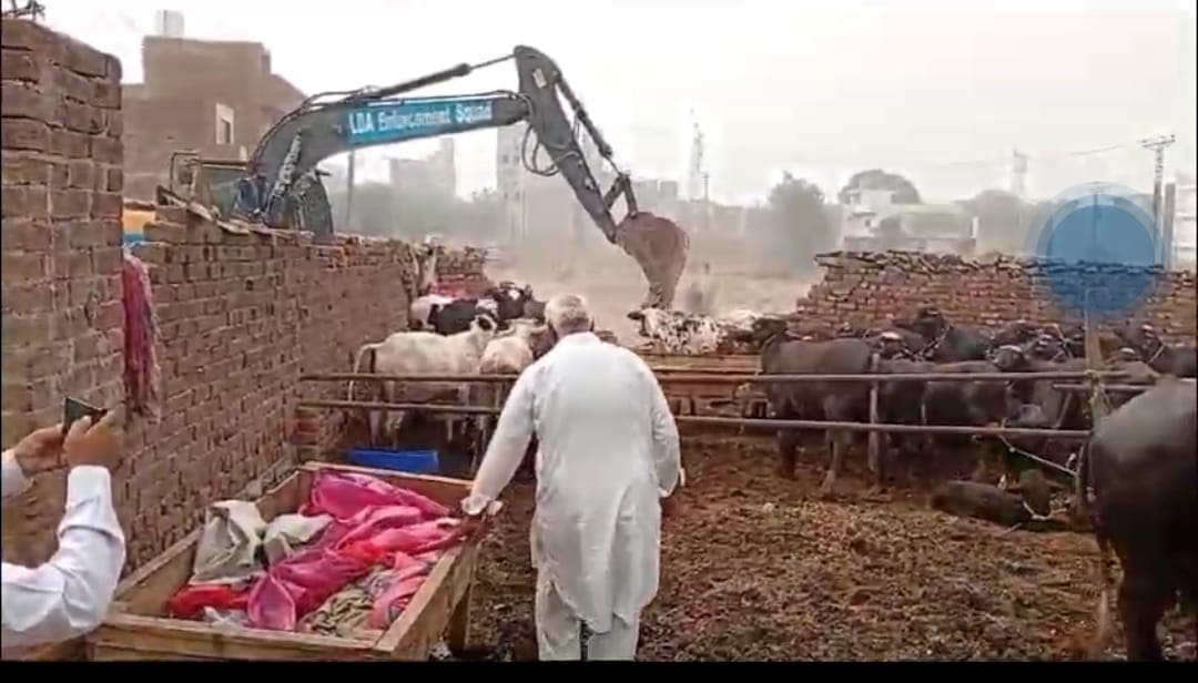 LDA evicts cattle, demolishes illegal constructions in Lahore’s Johar Town – Pakistan Observer