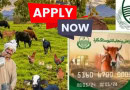 Livestock Card Scheme Free Loans For Farmers Registration Online