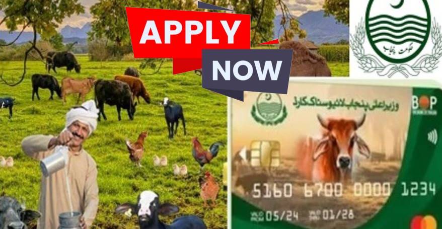 Livestock Card Scheme Free Loans For Farmers Registration Online