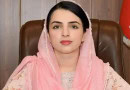 Mishal Yousafzai De Notified From Special Assistant To Kp Cm