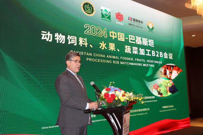 Pakistan Embassy Beijing Hosts B2b Matchmaking Meeting On Animal Fodder And Fruits Vegetables Processing 