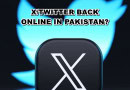 X Former Twitter Restored In Pakistan After Nine Month Ban