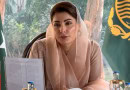 Cm Maryam Decides To Launch Karobar Card To Promote Small Business