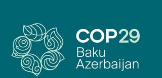 The Mesmerizing Behaviour Of Baku Volunteers At Cop29 